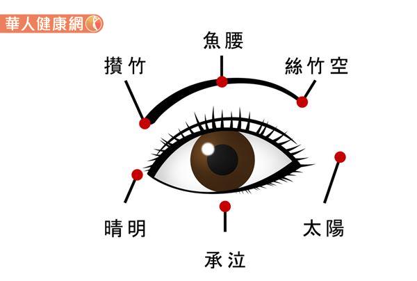 眼周穴位位置参考图.