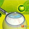 人工視網膜新進展　8盲者重見光明　