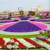 全球最大花園在杜拜　有如童話世界  