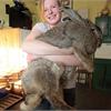 全球最重兔23公斤　比3歲小孩大