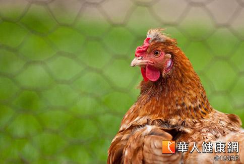 湖南爆H7N9病例　累積23例死