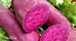 紫番薯維生素豐　抗氧化兼降血壓