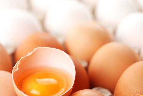 首例H6N1女　雞蛋是可能感染源