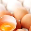 首例H6N1女　雞蛋是可能感染源