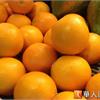 每天2顆柳橙　補進7公克膳食纖維