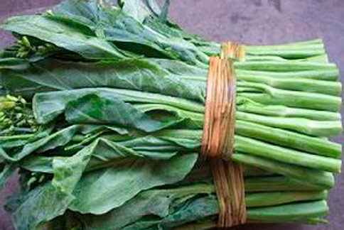 呷青菜幫補鈣　首選芥藍芹菜高麗菜