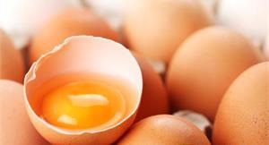 老人這樣吃蛋　3食譜能降膽固醇
