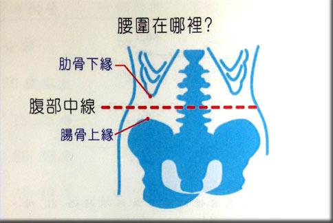 腰的位置示意图图片