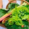 保骨關鍵維生素K　多吃綠葉蔬菜！