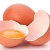 每天吃1顆蛋　簡單強效美容法