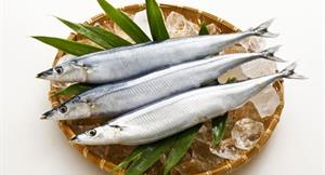 吃魚美容！秋刀魚苦內臟防老化
