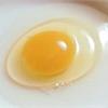 有機蛋PK土雞蛋　營養有高低？