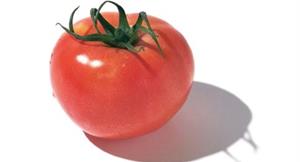 番茄茄紅素可防癌　利尿效果更顯著