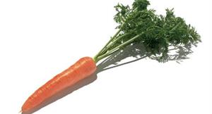 胡蘿蔔營養高　 提升免疫力助抗菌