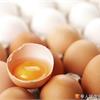雞蛋助減肥？理想營養庫這樣吃才對