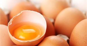 吃出好眼力！自製蒜香蒸蛋補卵磷脂