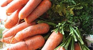 補鈣護膚增免疫　冬天必吃3蔬菜