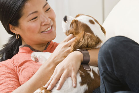 北市家犬十大死因出爐心血管疾病第一 華人健康網