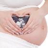 駭人！美警方查獲35具違法墮胎胚胎