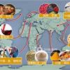 全球健康飲食指南　繞著地球吃健康