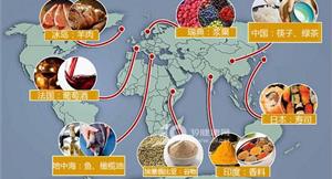 全球健康飲食指南　繞著地球吃健康