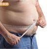 瞭解脂肪味道　尋找替代品助減肥