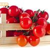 研究：吃番茄會痛風　專家：低普林可食用