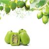 超級綠果子　軟棗獼猴桃是瞎米？