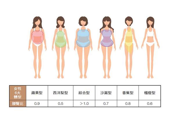 女生体型分类图片