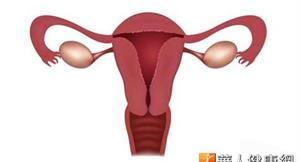 輸卵管結紮後　仍能「重啟生機」