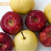 吃蘋果好處多！日研究蘋果膠能加速大腸排便
