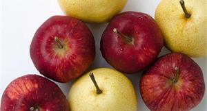 吃蘋果好處多！日研究蘋果膠能加速大腸排便
