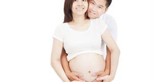 提高卵子品質　增加受孕機率