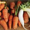 紅白蘿蔔混著吃，維生素C容易流失？
