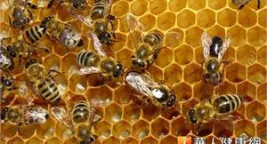 蜂毒保養品問世　英國卡蜜拉也愛用