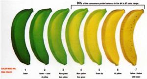 網傳：香蕉頭尾綠易致癌　果皮轉色卡揭真相