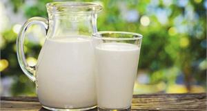 喝全脂牛奶可以減肥？實情應該是這樣才對…