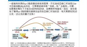 素魚油 ≠魚油　EPA、DHA轉換率差很大！　