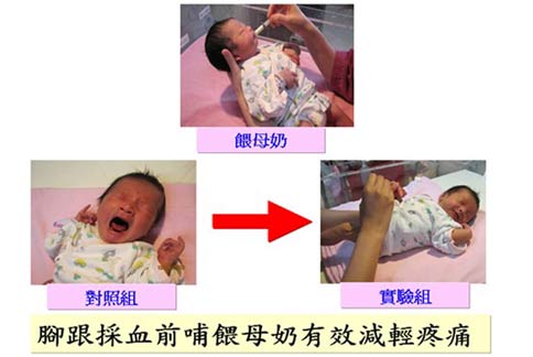 台北榮總護理部推動實證照護，文獻回顧發現新生兒哺餵母乳再採血，可有效降低疼痛感，應用在臨床上獲得成效。(圖片提供／台北榮總)