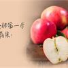 紫爆！營養師蔡怡瑄：養肺第一步就是吃蘋果！