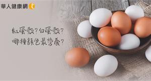 紅蛋殼？白蛋殼？哪種顏色雞蛋最有營養？