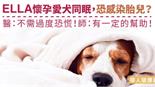 ELLA懷孕愛犬同眠，恐感染胎兒？醫：不需過度恐慌！