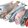 為什麼全世界的飲食指南都鼓勵吃魚？
