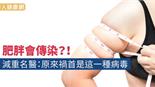 肥胖會傳染？！減重名醫：原來禍首是這一種病毒
