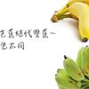 香蕉、芭蕉「絕代雙蕉」〜減肥、排便角色大不同