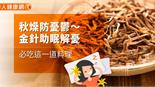 秋燥防憂鬱～金針助眠解憂，必吃這一道料理