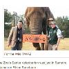 聲援泰國遭虐大象　澳洲動物蓋腳印連署