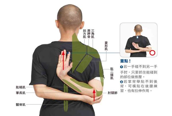 痠痛、五十肩、肩頸僵硬常上身？學會3伸展操改善！