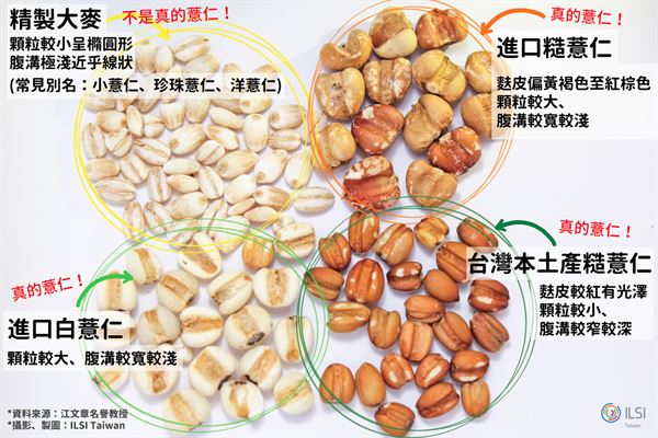 薏米怎么脱壳图片