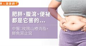 肥胖、腹瀉、便祕都是它害的…彭溫雅中醫：玫瑰山楂消脂、鮮魚湯止瀉